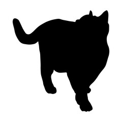 Elegant Cat Silhouette