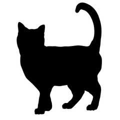 Elegant Cat Silhouette