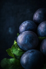 Bunch of blue plums are on a leaf. The plums are shiny and wet. The leaf is green and the plums are arranged in a row