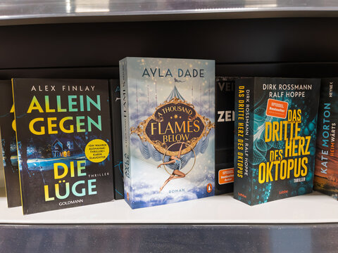  A Thousand Flames Below: Engaging Young Adult Fantasy Adventure