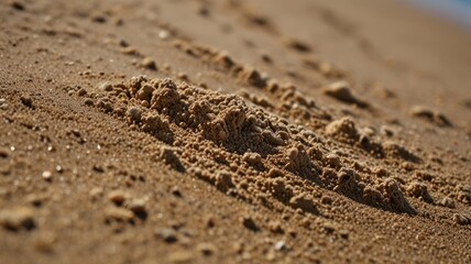 Beach sand texture, close-up, sunny day, ocean background, website texture