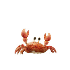 Cute crab waving on white sand beach scene animal photography bright environment close-up perspective