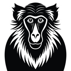 Fototapeta premium Baboon vector