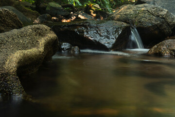 small waterfall in the evergreen forest
