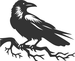 Vector black crow bird animal silhouette