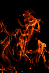 Vibrant Flames Dancing Against a Black Background in High Contrast