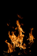 Captivating Flames Dance Against a Black Background in Low Light