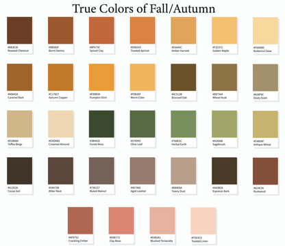 Colour Swatches 32 True Colors of Fall or Autumn - 3d Light Soft, Muted, Pastel Tones - with HEX Codes and Names, Color Palette, Scheme, Chart and Combinations