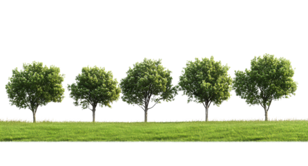A row of trees on the grassland, transparent background PNG file