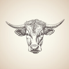 handrawn cow illustration graphic retro