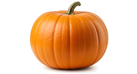 pumpkin on a white background