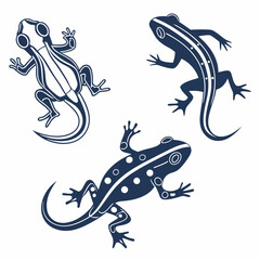 Vector illustration of a green lizard reptile isolated on a white background