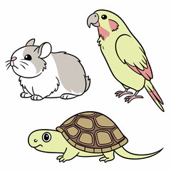 Cute cartoon turtle drawing from a wild animal vector illustration set