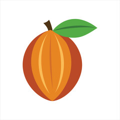  Botanical Almond Nut Sketch Vintage Art