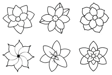 Gardenia Glow Vector Bundle