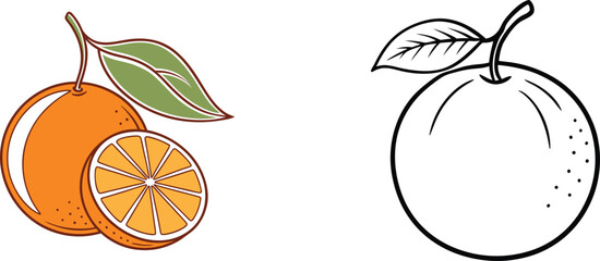 Orange Fruit With Slice And Leaf In Color And Line Art Version