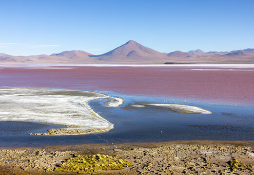 Laguna Colorada, Bolivia