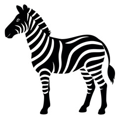 Obraz premium Striped zebra vector illustration isolated on white, a wild mammal with black and white stripes.