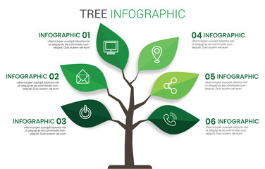 Tree Infographic Illustrative Presentation of Information and Data Visualization With 6 Steps Modern Mindmap Diagram With Tree And Branches.