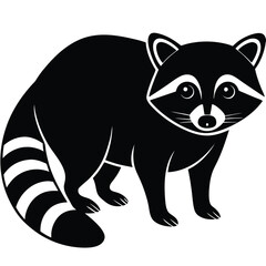 Raccoon vector animal