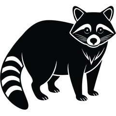 Raccoon vector animal