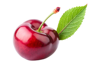 Fresh cherry isolated on white background