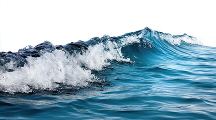 A dynamic blue water wave curves gracefully against a white background, capturing the fluid motion and energy of the ocean.

