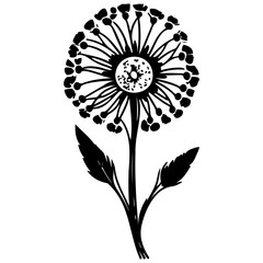Graphic silhouette dandelion floral illustration