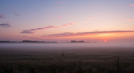 Obraz premium Misty Field Sunset: Serene Pink and Purple Landscape