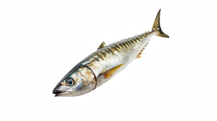 a small fish hook against a on a transparent background, PNG image, PNG file, Generative art.