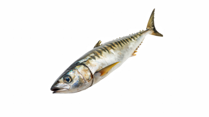 a small fish hook against a on a transparent background, PNG image, PNG file, Generative art.