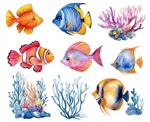 Fototapeta premium Colorful Fish and Coral Ocean Watercolor Art isolate on white background