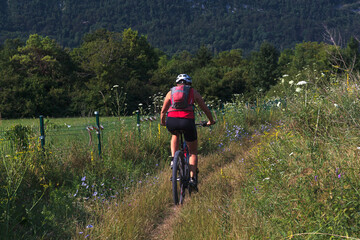 Fototapeta premium Woman cycling on a serene forest path