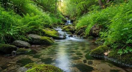 Obraz premium Serene Stream Flowing Through Lush Green Valley - Tranquil stream, flowing water, mossy rocks, vibrant greenery, natural beauty. Symbolizing peace, purity, nature, renewal, and serenity