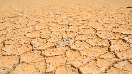 Image of cracked dry earth showing intricate patterns and textures with layers of dust accentuating its arid beauty