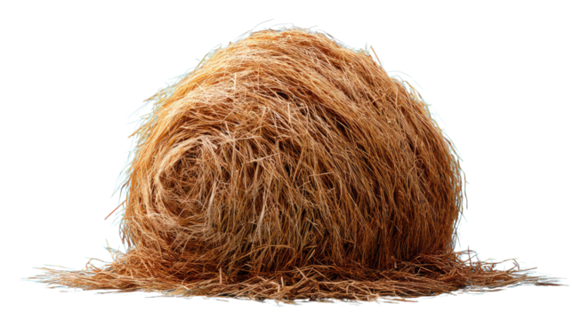 Hay Bale in Landscape: A rustic hay bale, a symbol of harvest and agricultural bounty, rests under a natural light, adding warmth and texture to the environment.