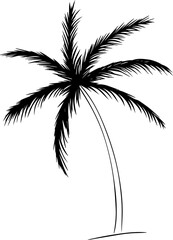 Obraz premium single palm tree with jagged leaves black silhouette of a and a slender trunk on a white background. Vector graphic line ink illustration for package, vacation design, fabric and textile.