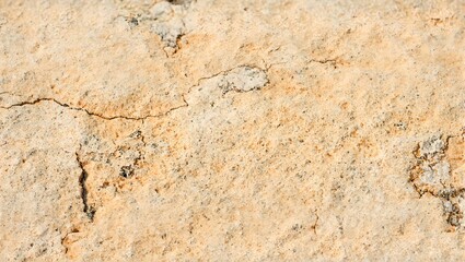 Detailed close up of naturally aged sandstone surface with fine granules and soft color gradations illuminated by gentle natural light