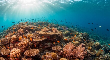 Obraz premium Vibrant Coral Reef Ecosystem - Stunning underwater scene of a thriving coral reef teeming with colorful fish and diverse coral formations.Sunlight streams through the water