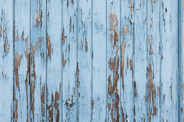 Blue wooden wall with paint peeling off. Weathered texture of a building exterior. Abstract background of an old material structure. Grungy detail of an abandoned house.
