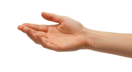 Isolated Open Hand Offering