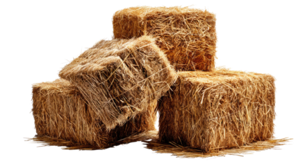 Golden Hay Bales: Close-up shot of a stack of rectangular hay bales, capturing the warm tones and rustic texture. A quintessential image of rural agricultural