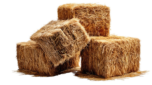 Golden Hay Bales: Close-up shot of a stack of rectangular hay bales, capturing the warm tones and rustic texture. A quintessential image of rural agricultural