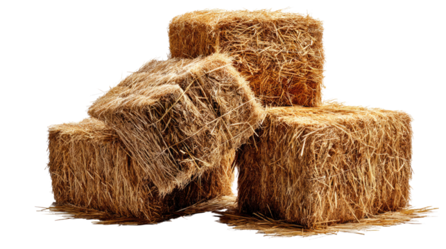 Golden Hay Bales: Close-up shot of a stack of rectangular hay bales, capturing the warm tones and rustic texture. A quintessential image of rural agricultural