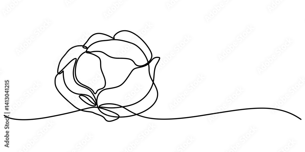 Poster cabbage continuous one line drawing, Hand-drawn cabbage continuous outline vector. Cabbage one line art drawing, Chinese cabbage in continuous line art drawing style, Single continuous line drawing. 
