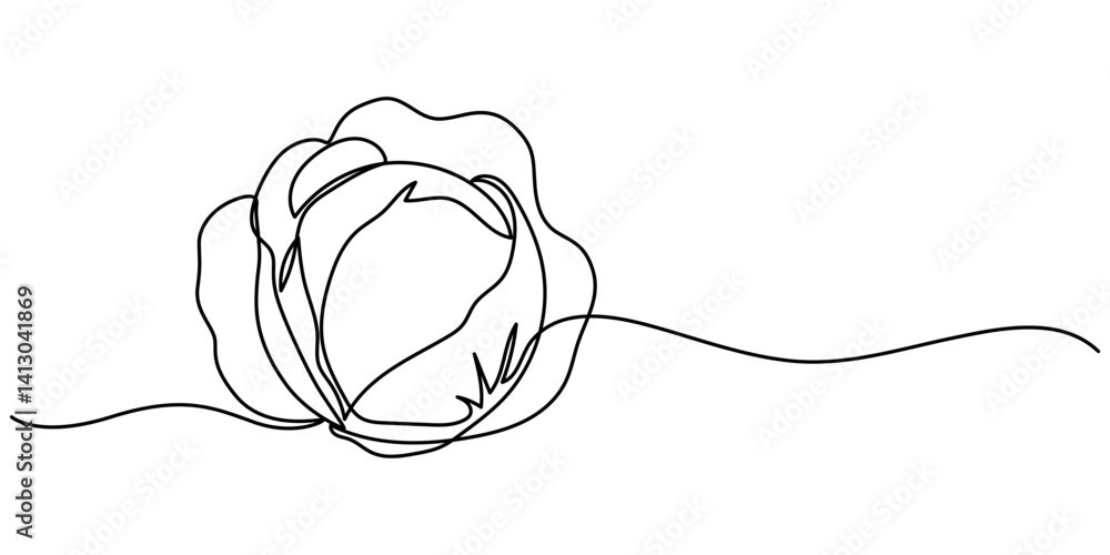 Poster cabbage continuous one line drawing, Hand-drawn cabbage continuous outline vector. Cabbage one line art drawing, Chinese cabbage in continuous line art drawing style, Single continuous line drawing. 