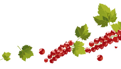 red currant berries with green leaves falling vector design