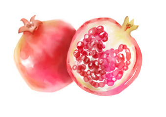 pomegranate illustration isolated on transparent background watercolour drawing printable isolated