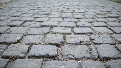 Discover the timeless beauty of a weathered cobblestone pathway each stone whispering stories of the past