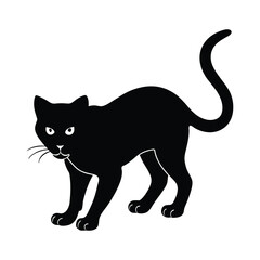 black cat vector illustration